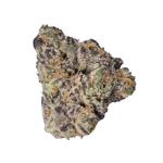 enua 33/1 GGZ CA Gogurtz